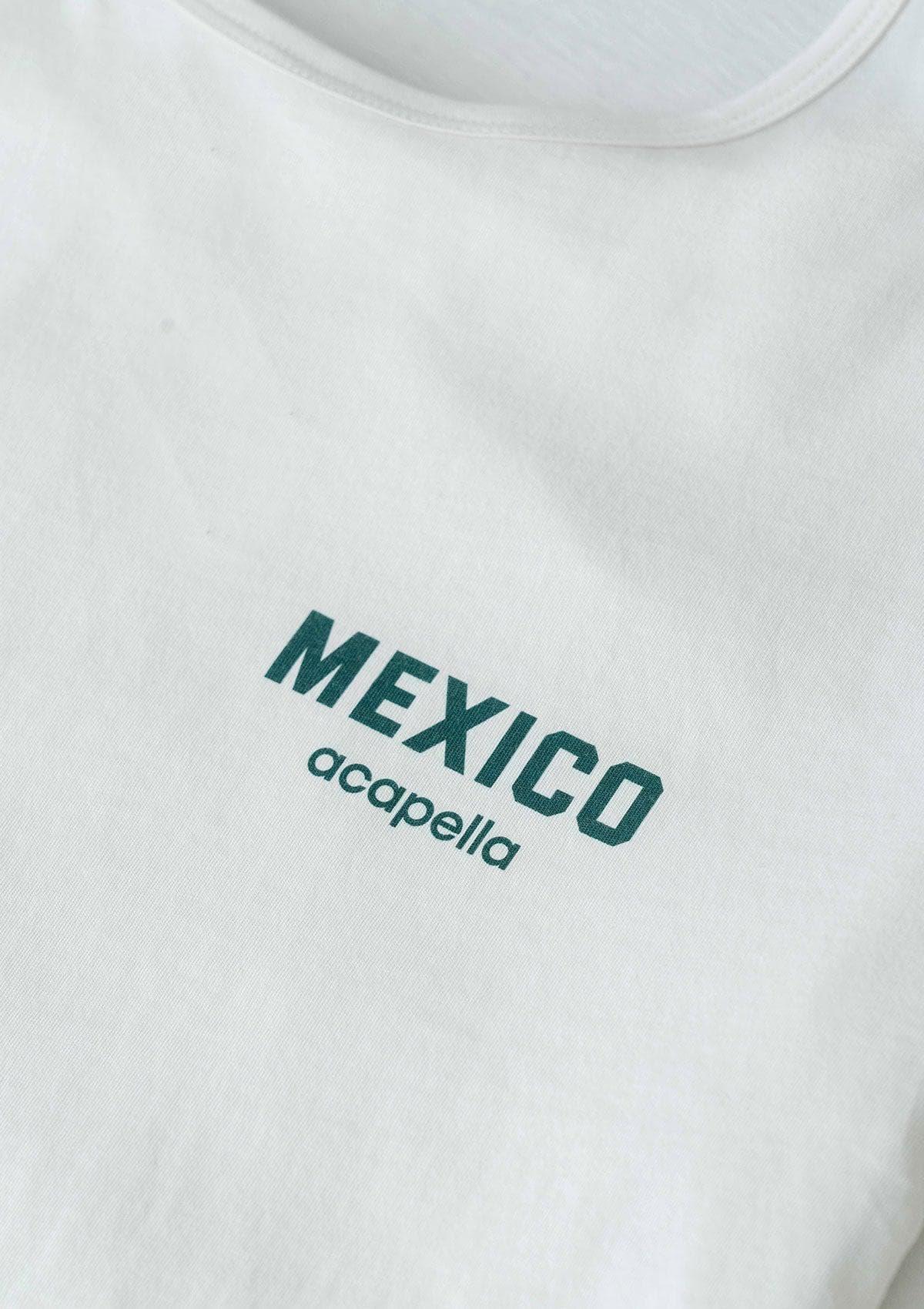 Imaginemos Logo LS - White