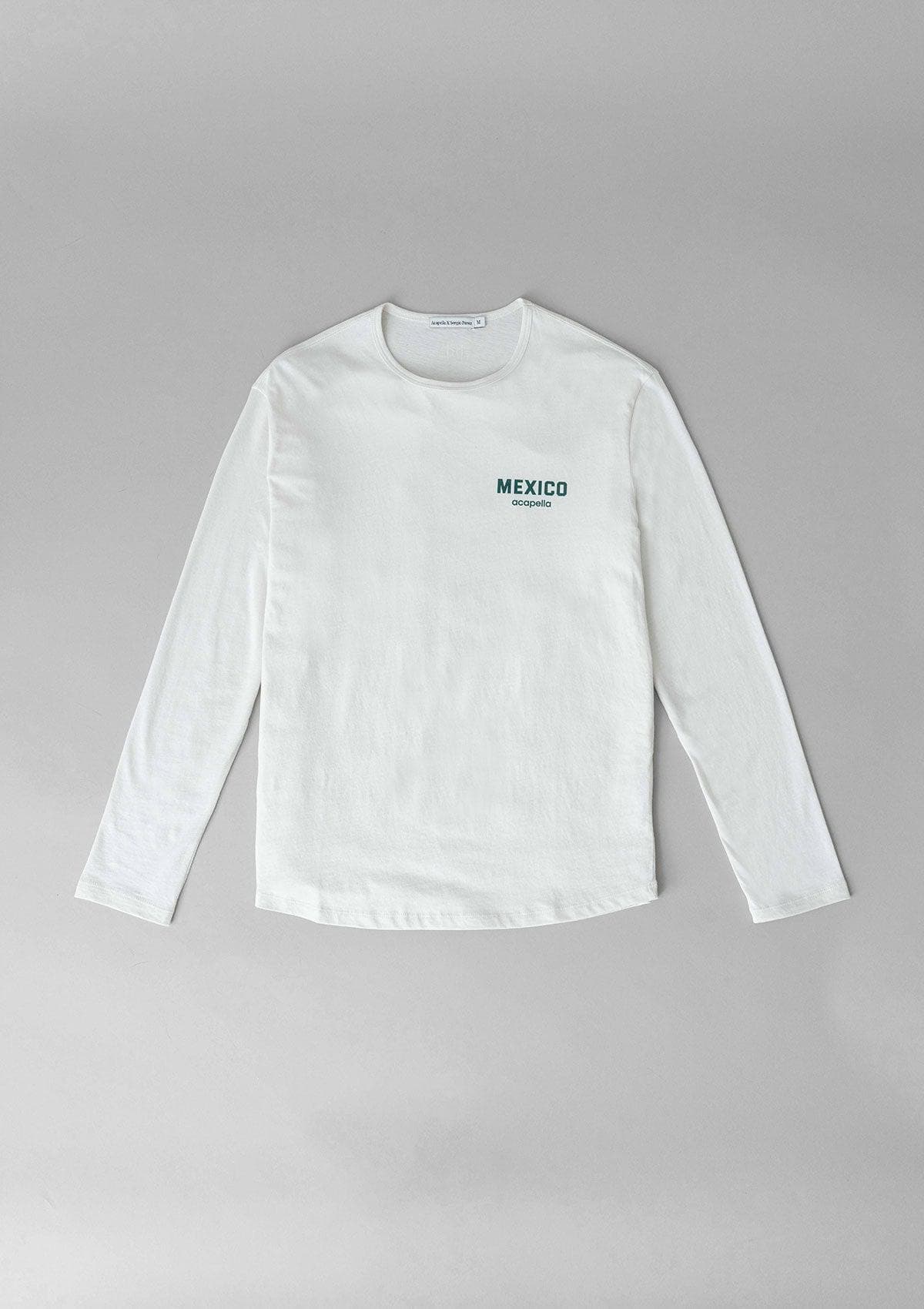Imaginemos Logo LS - White