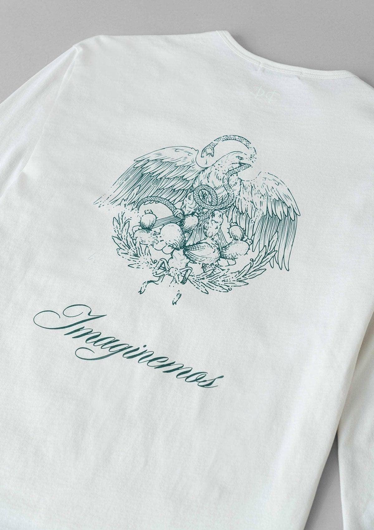 Imaginemos Logo LS - White