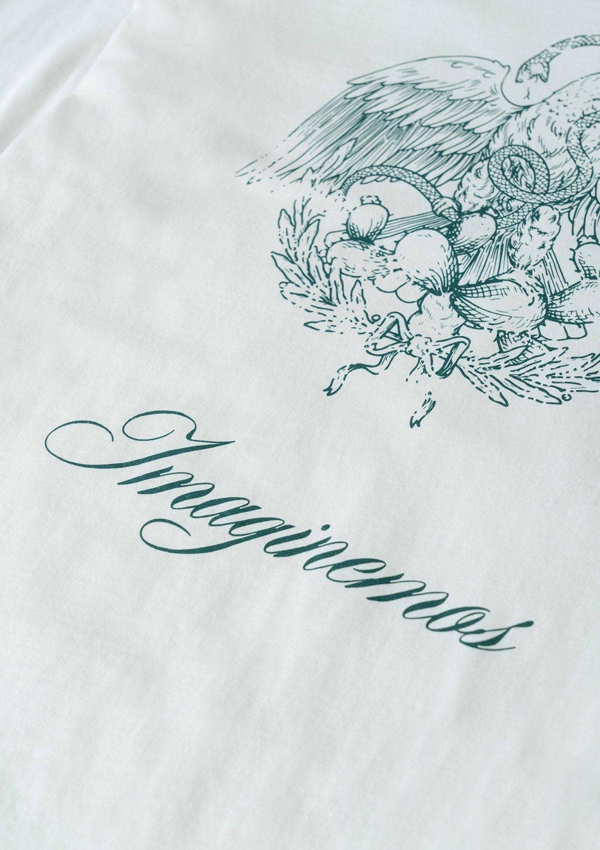 Imaginemos Logo LS - White