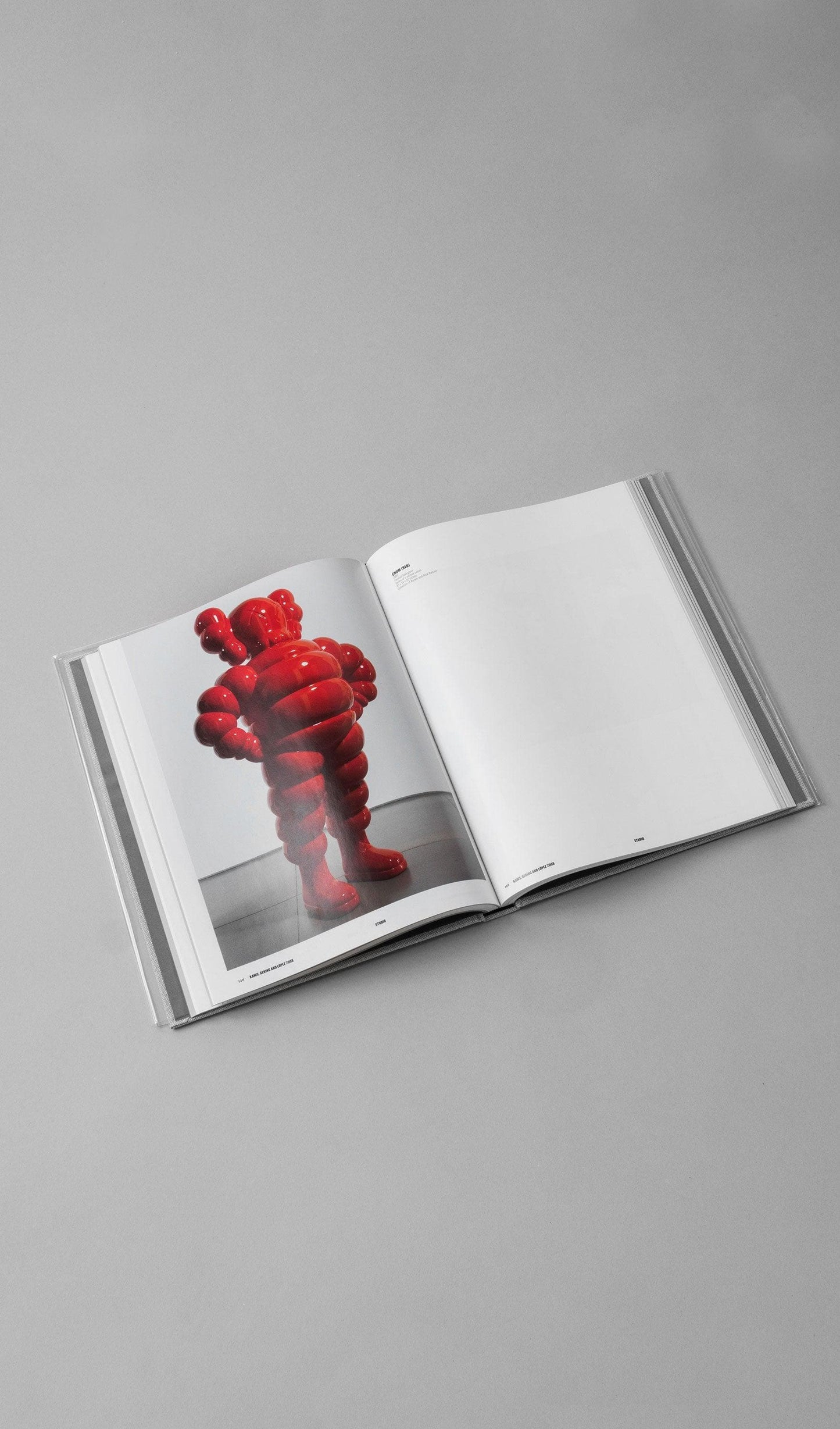 Acapella Ropa ACAPELLA MX Libro - KAWS