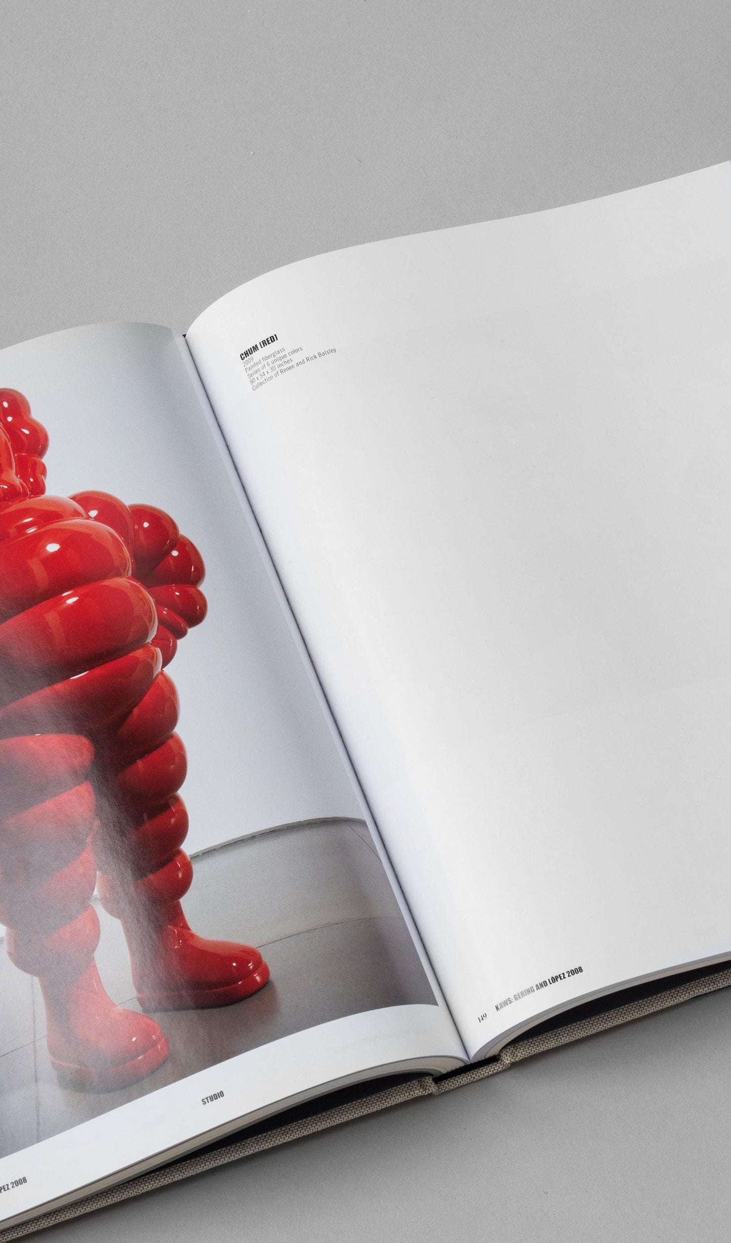 Acapella Ropa ACAPELLA MX Libro - KAWS