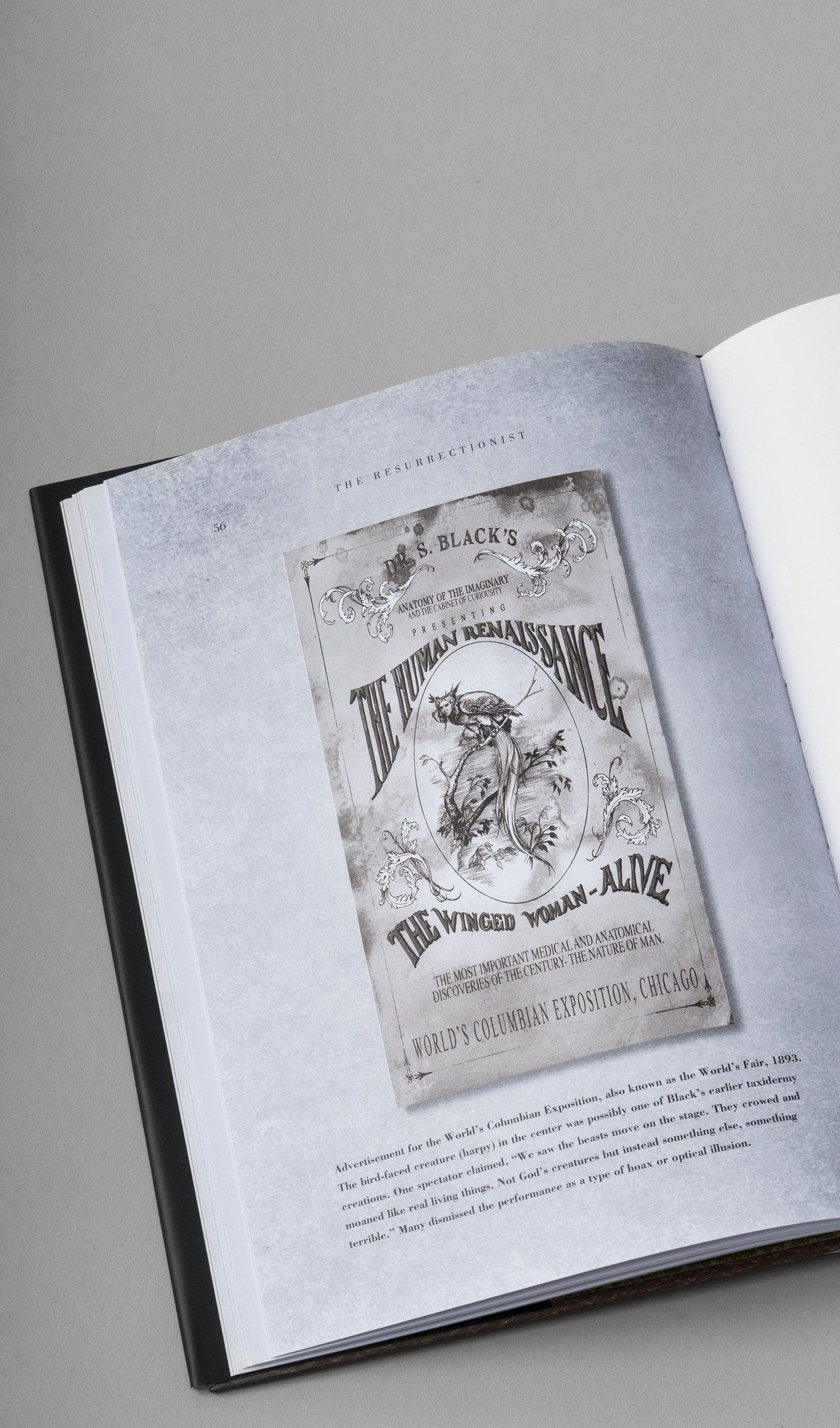 Acapella Ropa ACAPELLA MX Libro - The Resurrectionist: The Lost Work of Dr. Spencer Black