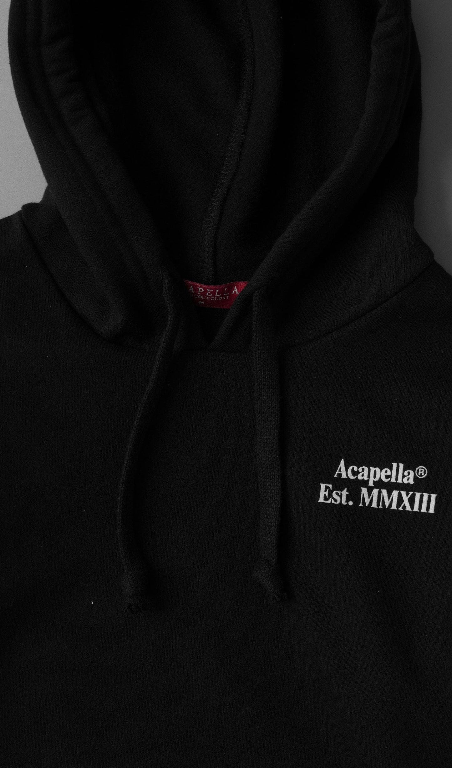 Acapella Ropa Youth Hoodie Sudadera Est. MMXIII Hoodie Youth